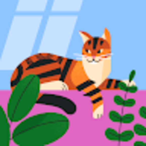 Meet your Posher, Madison - Picture 1 of 1